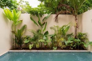 Serene Jungle Villa Private Pool and Work Space