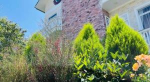 La Roza Dalat Boutique Hotel