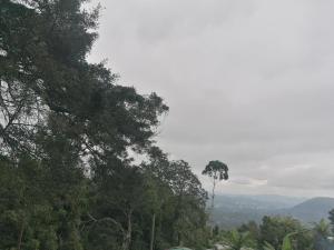 The Jungle Life Homestay Thangamalay Sanctuary Haputale by Gisela Sivam