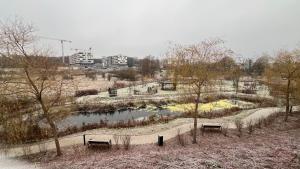 REMI Apartament Biotura