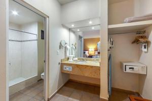 Comfort Inn Tampico