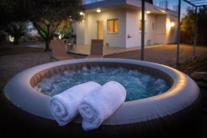 Evgenias Olive House