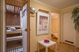 Bergschlössl - Massionettwohnung 16