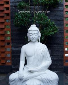 Punarjeevani Ayurvedic Heritage