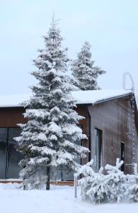 Villa Memory-Aurora view bath-Sauna-Lapland-Santa