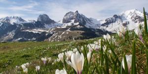 LaVida Star Alpine Hideaway Thun, Sauna, free parking