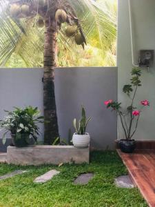 Hiriketiya Green Haven Villa