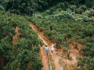 อิงเหนือ โฮมสเตย์