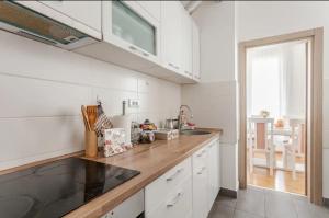 Penthouse Danube Exclusive, Parking, 90m2, Wifi