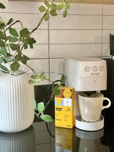 Spacious 2BD 2BA Apartment in Thong Lor