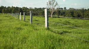 Hillview Farm Milton -the Country meets the Sea!