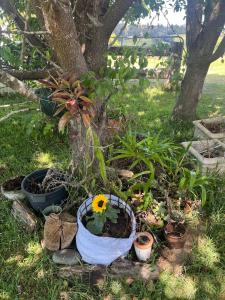 Hillview Farm Milton -the Country meets the Sea!