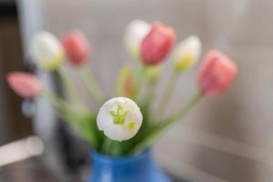 tarricri vacation in pozzallo