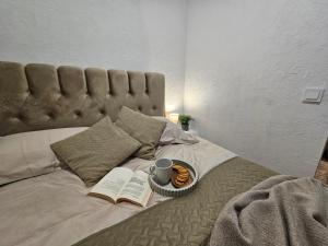 Urban oasis apartments