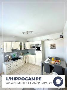 LHippocampe - Appartement 1 chambre au coeur du quartier Arago