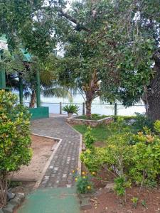 yala treetop lake