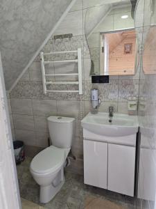 Котеджі Цімбори