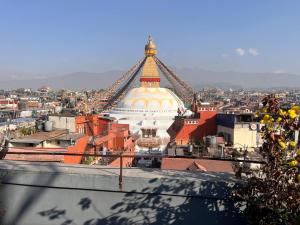 Rooftop apartment front Boudha View