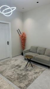 شقة راقية ايجار يومي وشهري