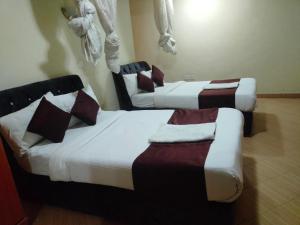 Dominion castle hotel