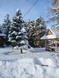 Pokoje Gościnne ZYCH - Domek