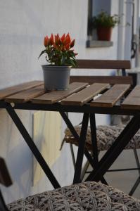 Splendor Solis Apartment