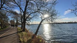 Nubian Life Nile View