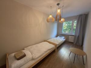 Albert self check-in free parking