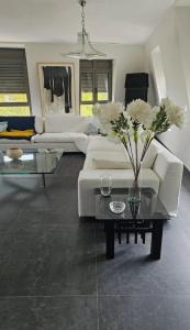 Penthouse Vichy - Résidence luxueuse à Vichy