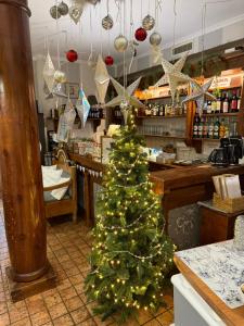 Gosciniec Pod Brzozami