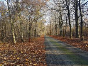 6 person holiday home in Toftlund-By Traum