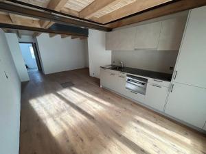 Swiss Horizon - Penthouse mit Aussicht & Liftnähe auf 2 Etagen