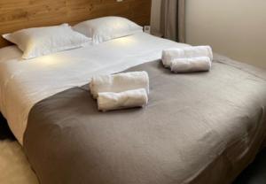 Chalet Cosy