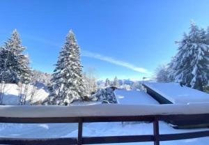 Chalet Cosy