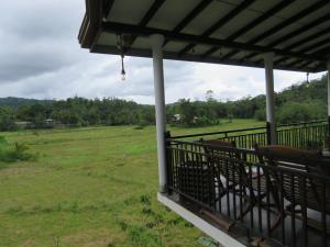 Wildlife Kingdom - Deniyaya Sinharaja