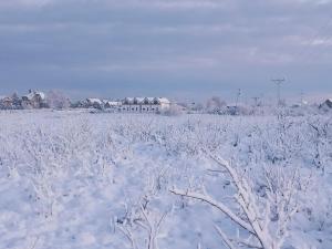 Słońce i Woda Domki Całoroczne, Podgrzewany Basen, Klimatyzacja, Bezpłatny Parking