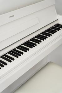 Duplex luxueux 5 étoiles avec terrasse