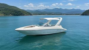 Flamboyant Boat