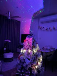 Căn hộ 2PN 3bed 2WC 78m2 Vinhomes Smart City - Toà TC3 Ch1901