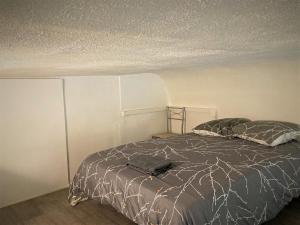 Appartement triple dans le centre de Limoges