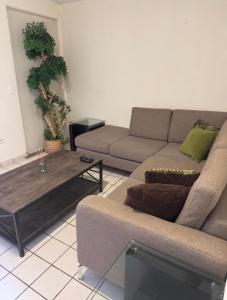 Hermoso departamento con todo lo que necesitas!