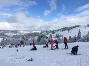 Котедж Відпочинок в Карпатах