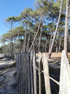 MH203 3chambres dont suite parentale et 2 salles de bain dans camping 4 étoiles