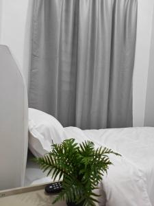 Cozy Haven 暖心居