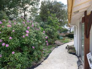 Villa Graine des pins, 14 personnes, proche Océan