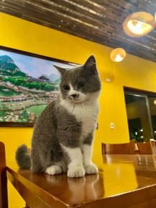 Peaceful Garden Tam Cốc