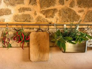 Vintage House With Terrace On The Elba Island