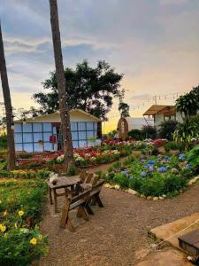 Hương Lúa Homestay Măng Đen