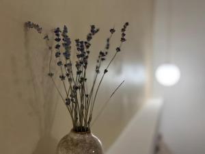 Grande maison de ville intra-muros - Calme & confort