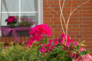 Landhaus Friedrichsfehn